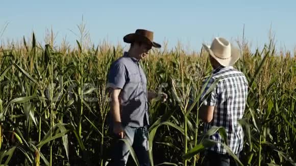 商人用平板电脑检查他们的田地和玉米农业商业的概念农民们在花丛中散步视频的预览图
