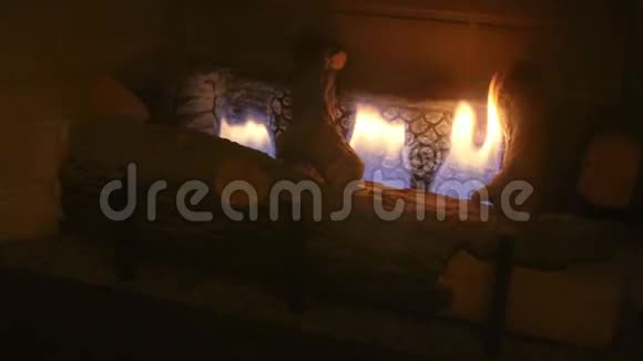 壁炉闪烁着公寓里的生活视频的预览图