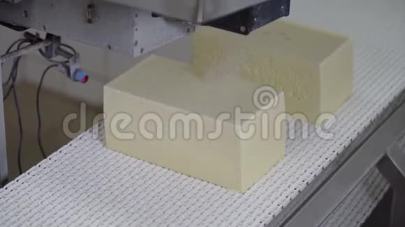 奶酪生产技术输送线为奶酪包装工艺食品厂的奶酪加工视频的预览图