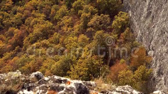 从黄色的秋天森林倾斜起来露出岩石山秋天的克里米亚山金秋峡谷视频的预览图