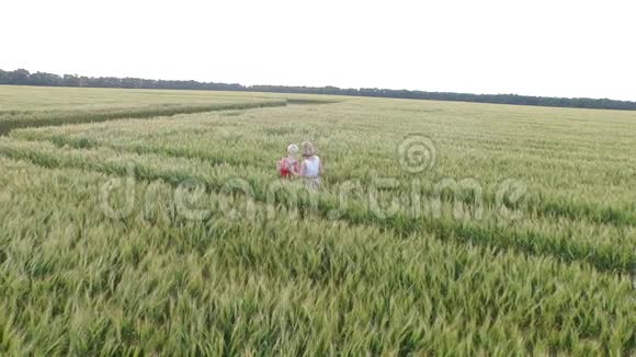 两个金发碧眼的女人穿着红色和蓝色的连衣裙站在一个小麦的怀抱里视频的预览图