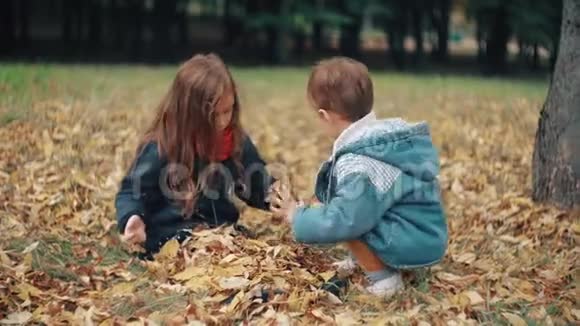 可爱的弟弟妹妹在秋天公园玩耍男孩向女孩扔黄色落叶4k视频的预览图