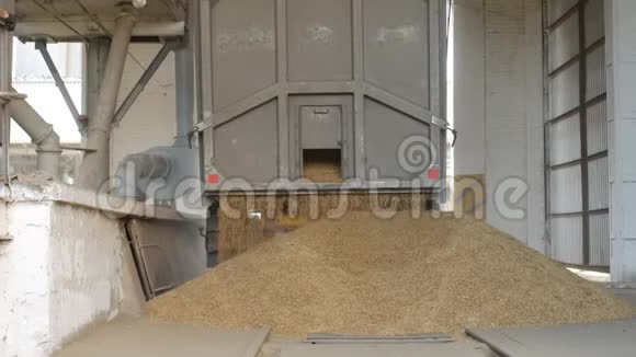 汽车卡车把玉米或黑麦运到电梯里农业视频的预览图