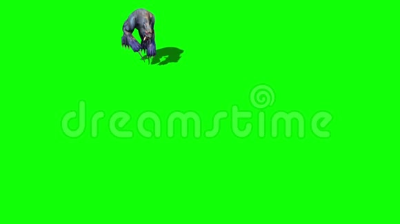 怪物美洲狮跳跃攻击顶部绿色屏幕3D渲染动画视频的预览图