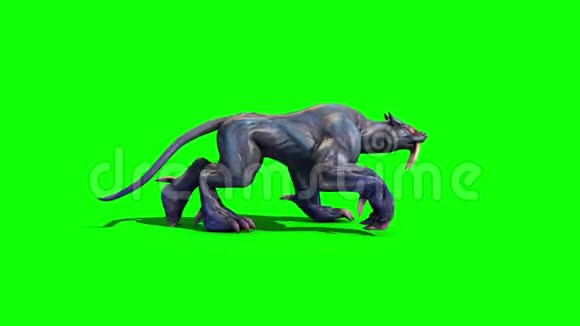 怪兽美洲狮行走循环侧绿色屏幕3D渲染动画视频的预览图