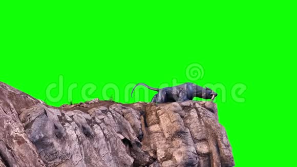 怪兽美洲狮山上绿屏3D渲染动画视频的预览图