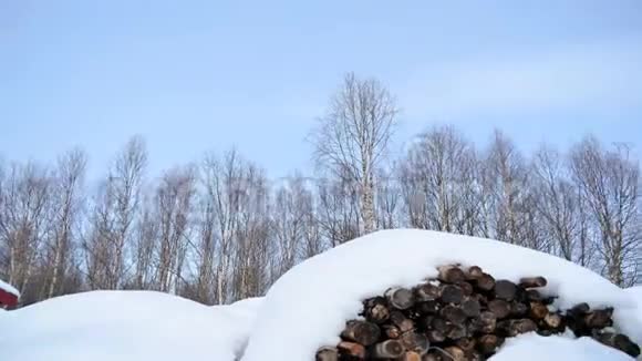 白雪皑皑的柴堆蔚蓝的阳光明媚的天空和白桦林向右转视频的预览图