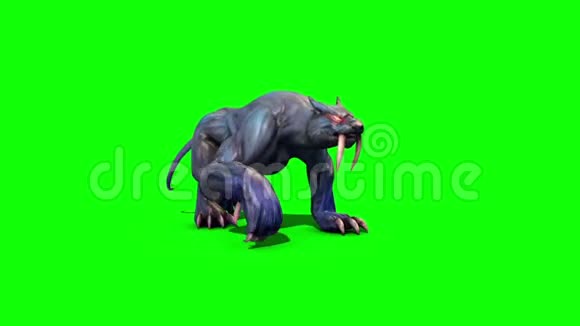 怪兽美洲狮漫步循环绿幕3D渲染动画视频的预览图