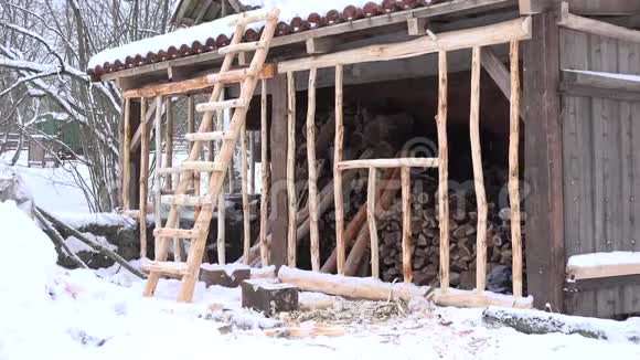 在下雪的冬天用柴堆和梯子堆成的树林4K视频的预览图