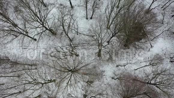 空中俯瞰冬季森林的车辆痕迹和滑翔视频的预览图