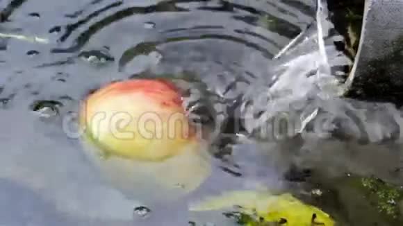 苹果水游泳视频的预览图
