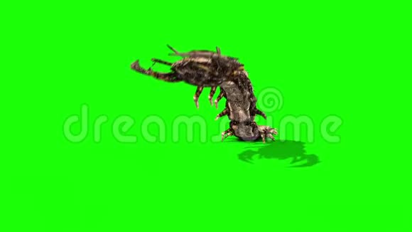 怪物巨型蜈蚣攻击前绿色屏幕3D渲染动画视频的预览图