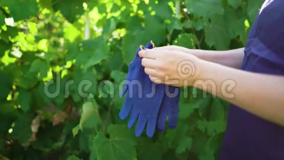 围裙高加索女性戴蓝色园艺手套特写视频的预览图