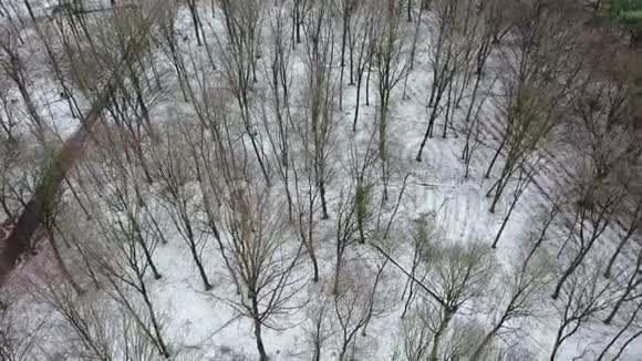 有车辆痕迹的冬季森林鸟瞰图视频的预览图
