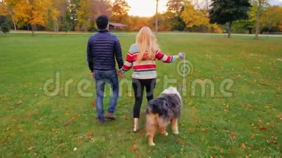 一对无忧无虑的年轻夫妇和一只狗在公园里散步背面视频的预览图