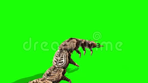 怪物巨型蜈蚣攻击后绿屏3D渲染动画视频的预览图