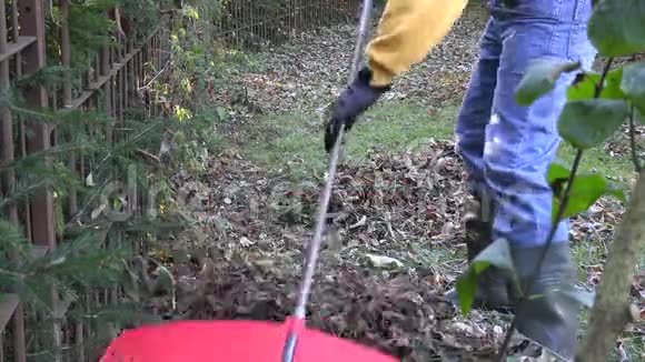 在寒冷的秋天一个人用红耙工具在院子里的栅栏附近耙叶4K视频的预览图