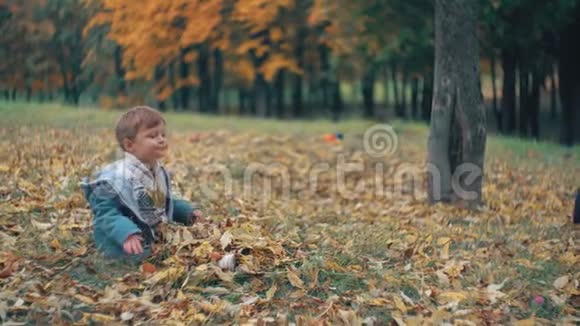 可爱的弟弟妹妹在秋天公园玩耍女孩向男孩扔黄色落叶4k视频的预览图