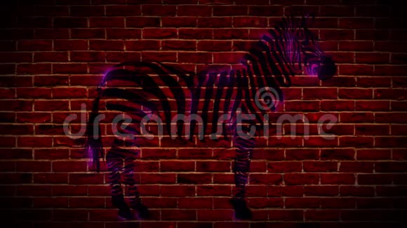 斑马数码激光动画视频视频的预览图