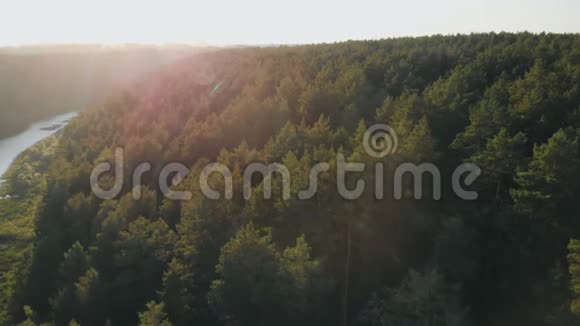 夏季森林树木日落时的树林阳光透过树木照耀自然美景空中特写新的开始后生活视频的预览图