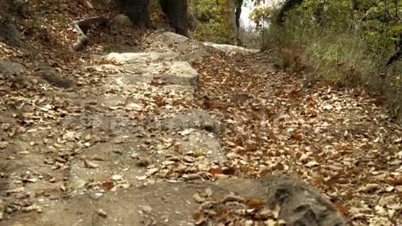 老人在山上用石头砌成的楼梯倾斜而下狭窄的小径在山坡上向大海延伸视频的预览图