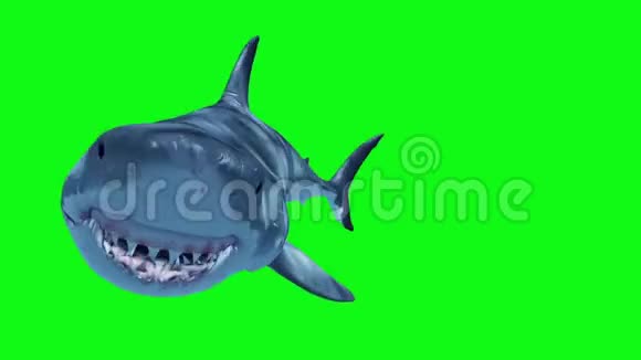 白鲨攻击环前绿屏3D渲染动画视频的预览图
