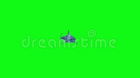 白鲨快速攻击绿色屏幕3D渲染动画视频的预览图