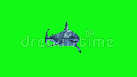白鲨快速绿屏3D渲染动画视频的预览图
