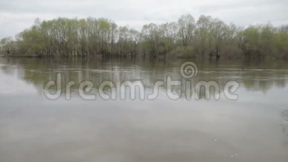 洪河流大雷雨后洒下林树自然灾害浩劫暴雨视频的预览图