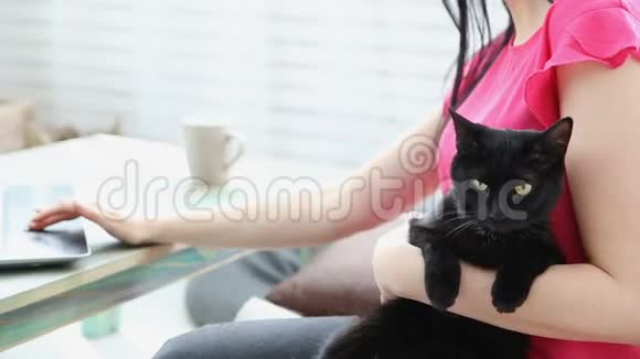 与宠物一起生活漂亮的女孩正在家里用笔记本电脑工作手上拿着一只黑猫视频的预览图