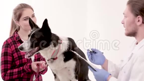 兽医在狗的医疗卡上做记录视频的预览图