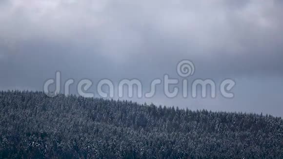 山上的森林上空形成了一片片雪灰色的云时间流逝视频的预览图