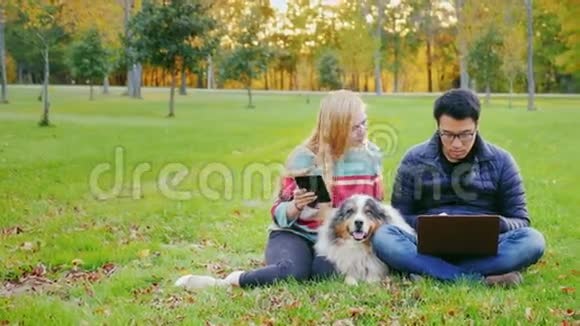 朋友们在公园的草坪上放松带着他们狗那个人用笔记本电脑视频的预览图