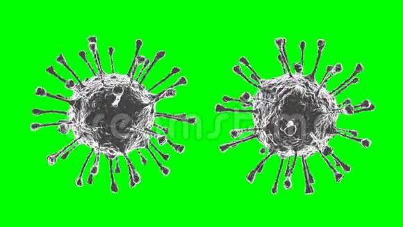 在绿色背景上旋转冠状病毒肺炎病毒Covid19流感视频的预览图