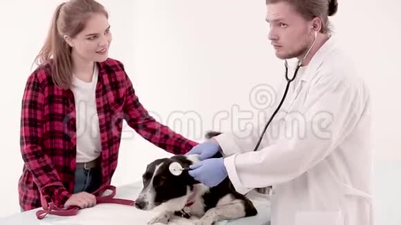 兽医诊所兽医用听诊器检查狗视频的预览图