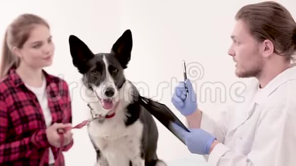 兽医在狗的医疗卡上做记录视频的预览图