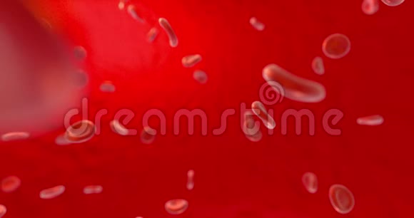 血液和红细胞抽象概念生命和健康3d渲染视频的预览图