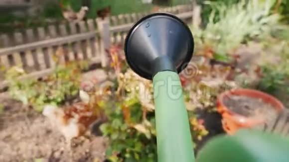 开始在花园里浇花POV视频视频的预览图