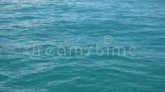 海水表面从移动船上观看视频的预览图