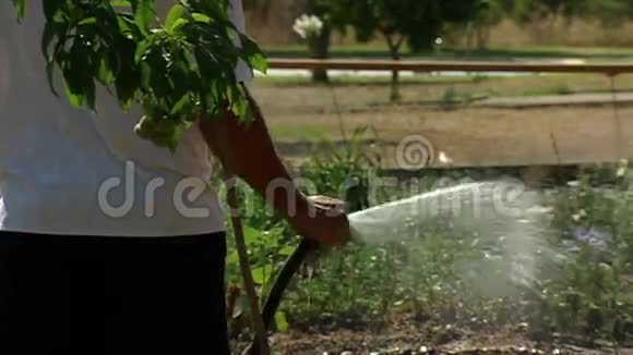 园丁浇水和工作视频的预览图