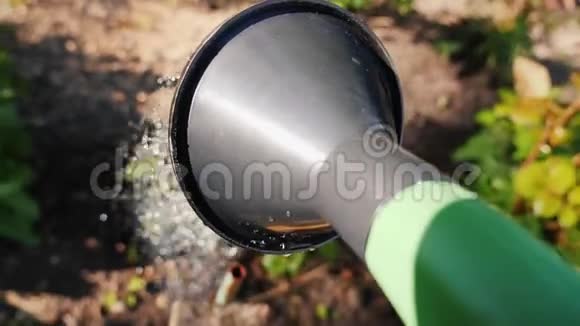 作物射击用浇水罐浇花视景视频视频的预览图