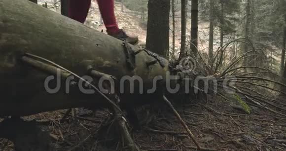 运动员女孩在森林树林里跳原木在后面秋季或冬季女子跑步运动训练视频的预览图