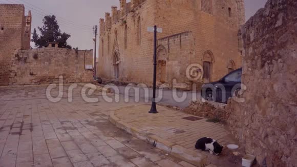 法马古斯塔要塞中心古老街道上的汽车和猫视频的预览图