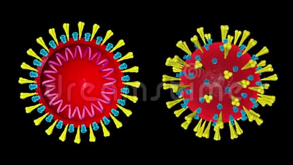 电晕病毒Covid19黑幕背景视频的预览图