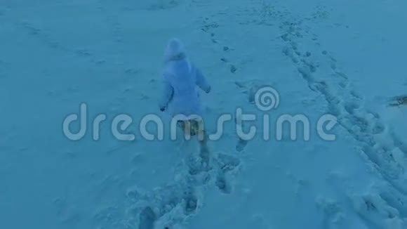 女孩离开了一个大湖的岸边湖面上覆盖着冰寒冷的冬日视频的预览图