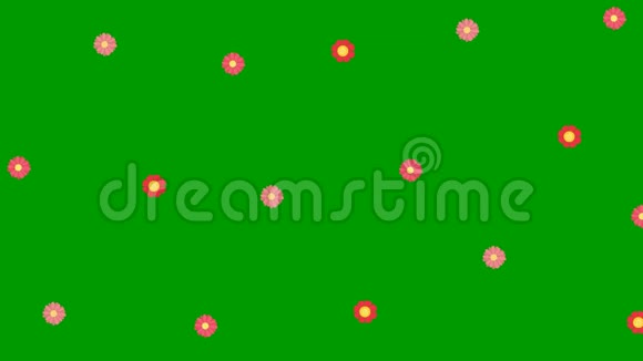 花显得越来越多充满了整个屏幕动画旋转红色和粉红色的花隔离在绿色屏幕上视频的预览图