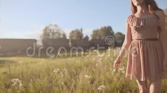 美丽的长发女孩在绿色的草地上抚摸着花朵旋转享受在背景中视频的预览图