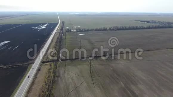 田野和道路森林带飞越了一片冬小麦地野外谷物俯视图视频的预览图