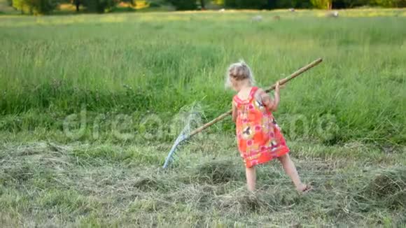 夏日里快乐的小女孩在乡下打耙视频的预览图