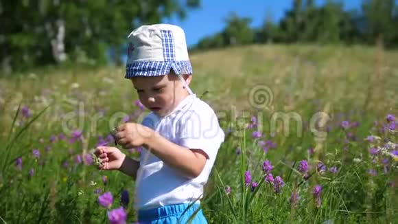 在草地上捉蝴蝶的男孩天气晴朗在新鲜空气中娱乐快乐的童年视频的预览图